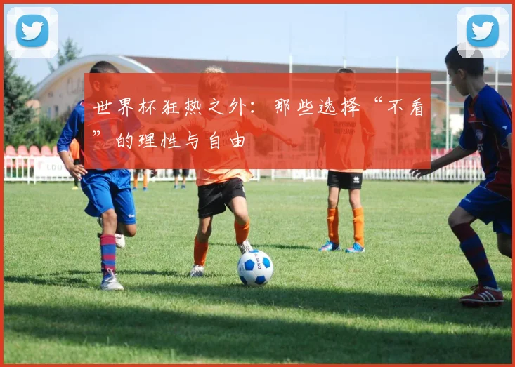 世界杯狂热之外:那些选择“不看”的理性与自由